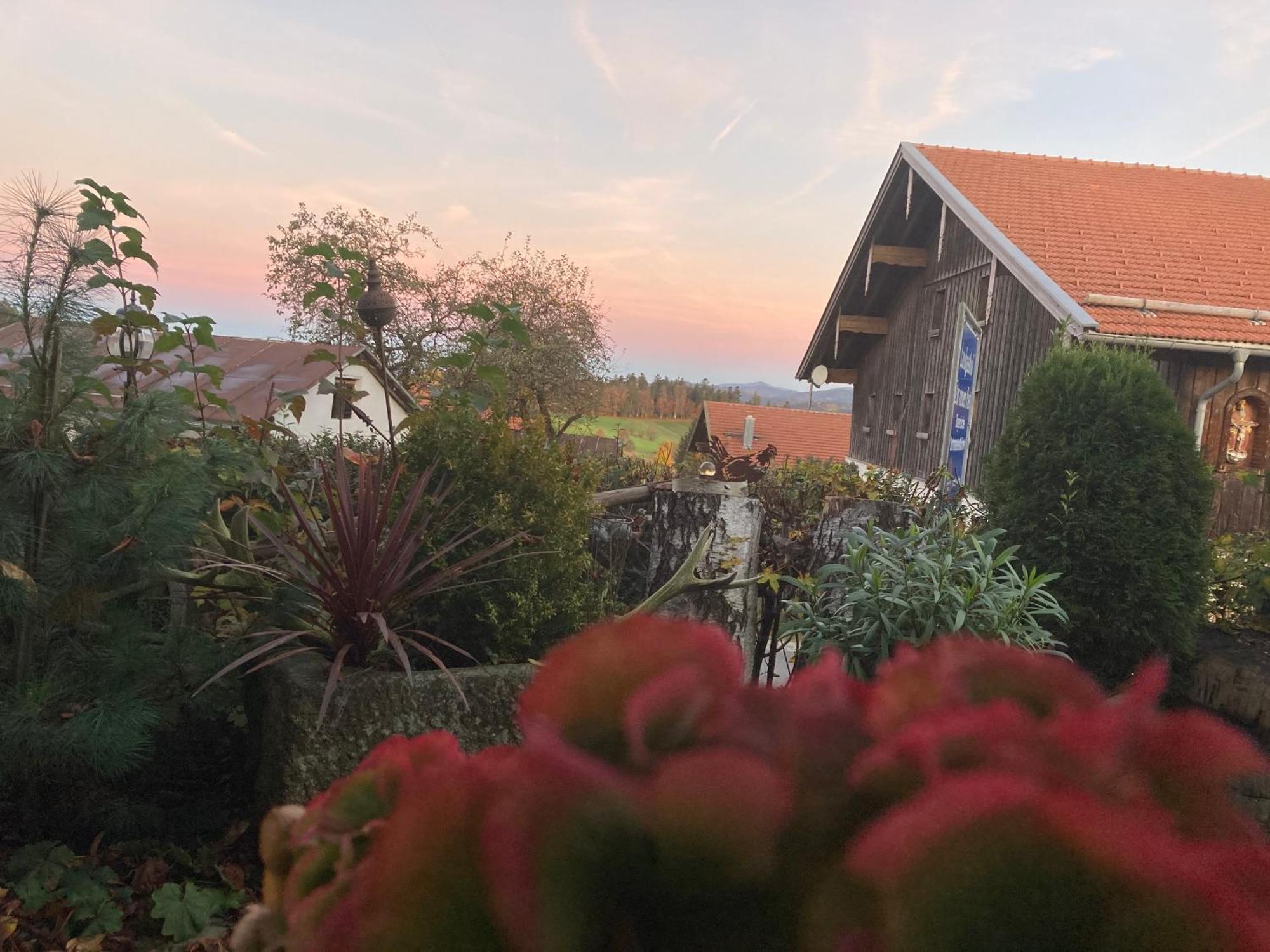 Zur Neuen Post Landgasthof Herzogsreut Екстер'єр фото